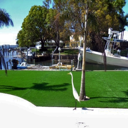 Synthetic Turf Supplier Los Alamitos, California Lawns, Backyard Landscape Ideas