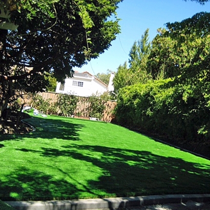 Synthetic Turf Supplier Pomona, California City Landscape, Backyard Landscaping