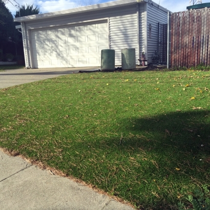 Home Putting Greens & Synthetic Lawn in West Carson, California