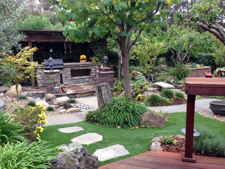 Artificial Grass Carpet Acton, California Landscape Photos, Backyard Design