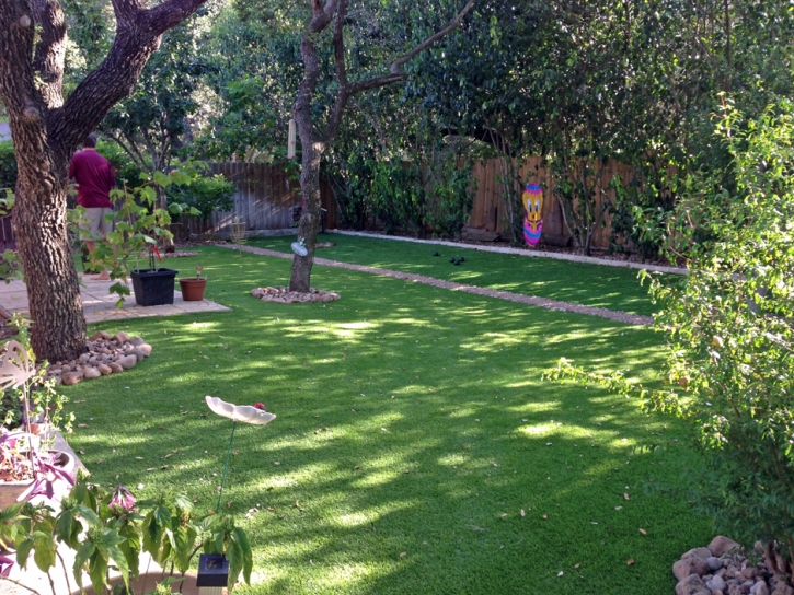 Artificial Grass Carpet Anaheim, California Garden Ideas, Backyard Designs