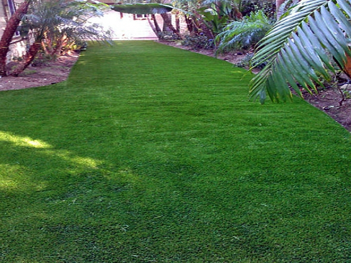 Artificial Grass Carpet Norwalk, California Backyard Playground, Backyard