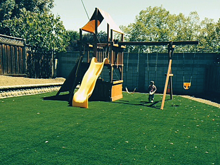 Artificial Grass Carpet Oxnard Shores, California Lawns, Backyard Design