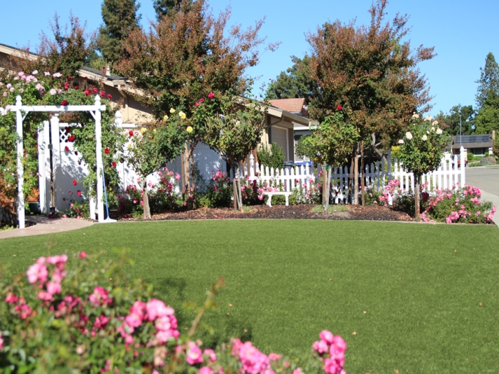 Artificial Grass Carpet Pinon Hills, California Landscape Ideas, Front Yard Landscaping Ideas