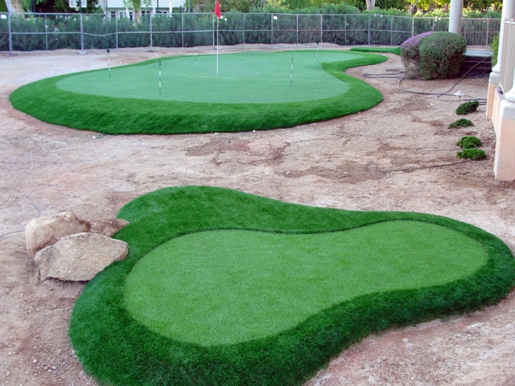 Artificial Grass Fillmore, California Best Indoor Putting Green, Landscaping Ideas For Front Yard