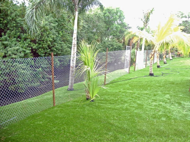 Artificial Grass Installation Hemet, California Landscape Design, Backyard Designs