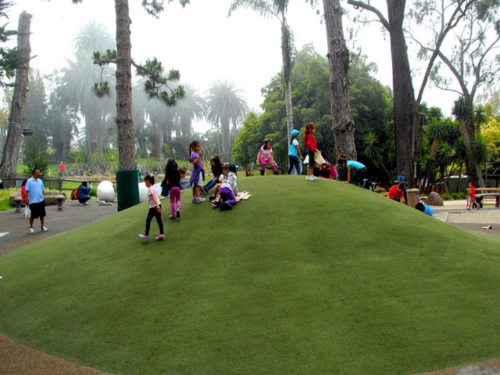 Artificial Grass Installation Moorpark, California Landscaping, Recreational Areas