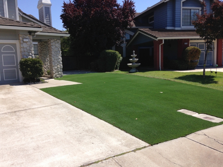 Artificial Grass Woodcrest, California Landscape Ideas, Front Yard Landscaping Ideas