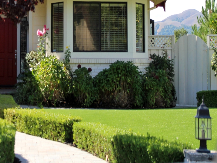 Artificial Lawn Burbank, California Landscape Design, Small Front Yard Landscaping