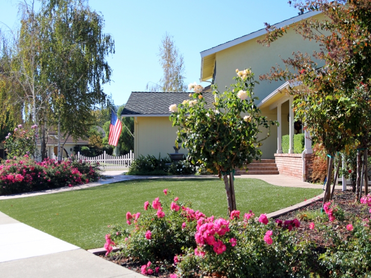 Artificial Lawn Monrovia, California Lawn And Landscape, Landscaping Ideas For Front Yard