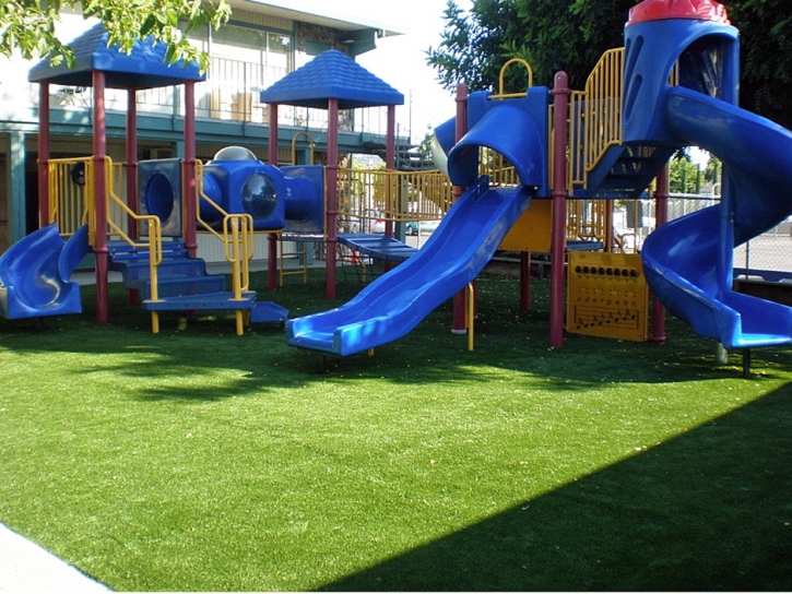 Artificial Lawn South Gate, California Indoor Playground, Commercial Landscape