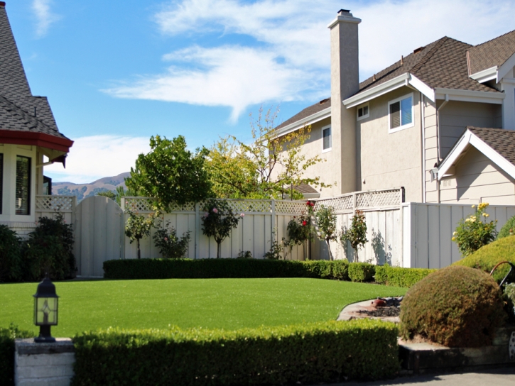 Artificial Turf Arcadia, California Lawn And Garden, Front Yard Design