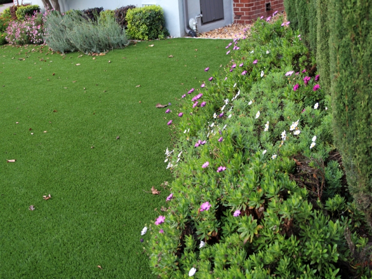 Artificial Turf Cost Costa Mesa, California Design Ideas, Small Front Yard Landscaping