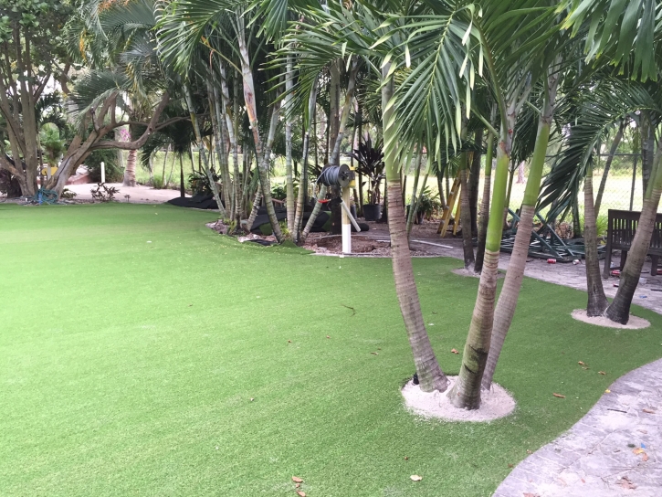 Artificial Turf Cost Good Hope, California Backyard Playground, Commercial Landscape