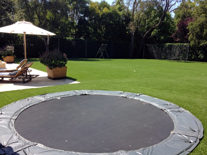 Artificial Turf Cost Highland, California City Landscape, Swimming Pools