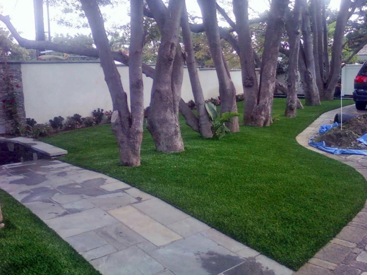 Artificial Turf Cost Lynwood, California Landscape Ideas, Front Yard Design