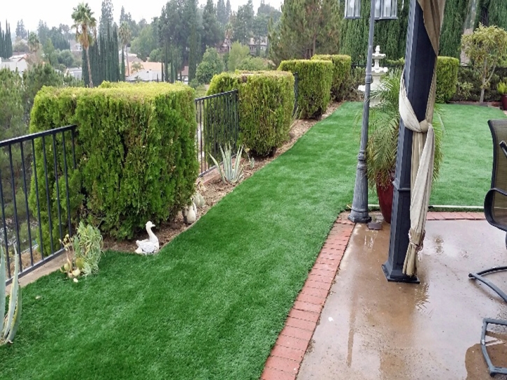 Artificial Turf Portola Hills, California Landscape Ideas, Backyard
