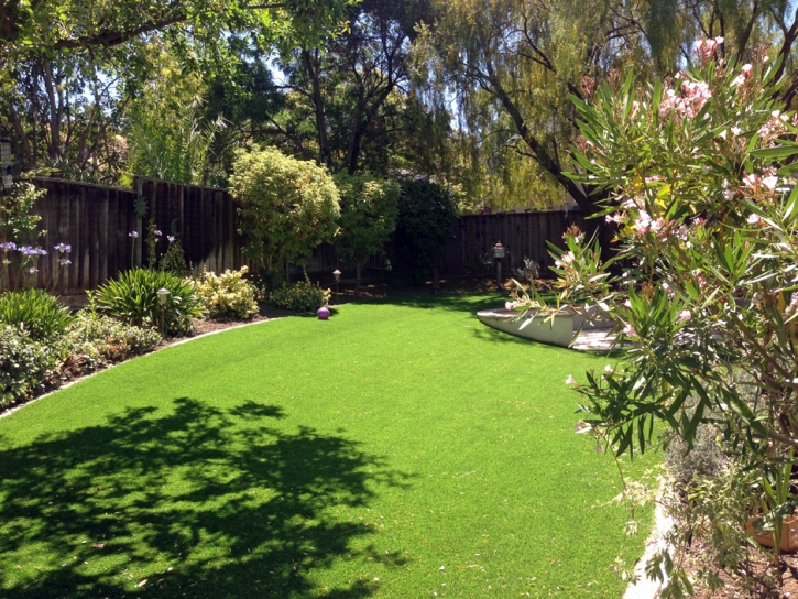 Artificial Turf San Gabriel, California Landscape Ideas, Backyard Ideas