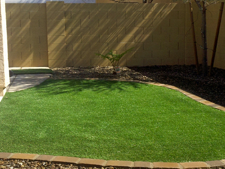 Best Artificial Grass Anaheim, California Landscaping Business, Backyards