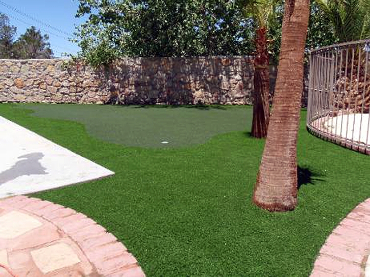 Best Artificial Grass El Monte, California Lawns, Backyard Designs