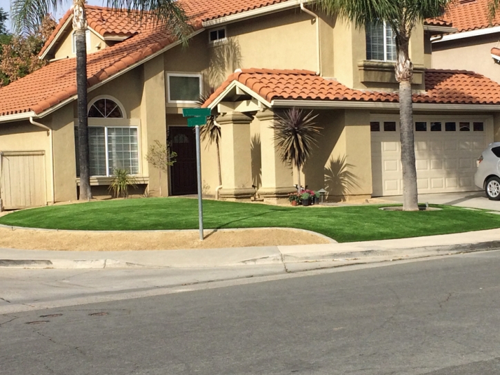 Best Artificial Grass Lake Forest, California Landscaping Business, Front Yard Design