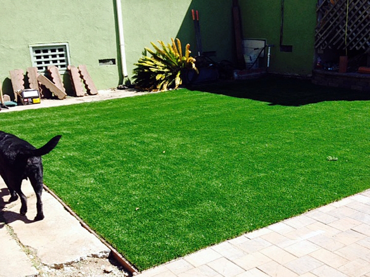 Best Artificial Grass Long Beach, California Landscaping Business, Backyard Ideas