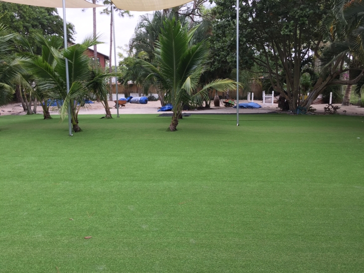 Best Artificial Grass North Hollywood, California Lawns, Commercial Landscape