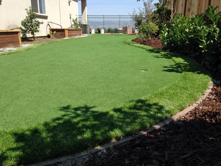 Best Artificial Grass Pedley, California Landscaping Business, Backyard
