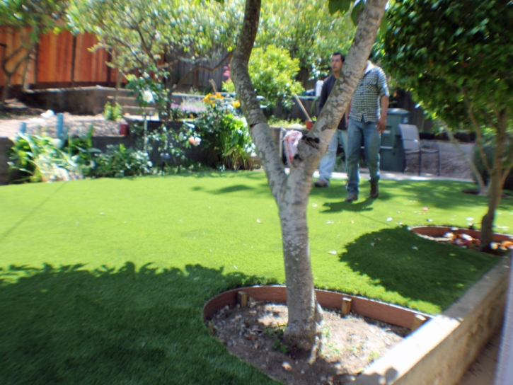 Best Artificial Grass Pedley, California Landscape Ideas, Backyard Landscape Ideas