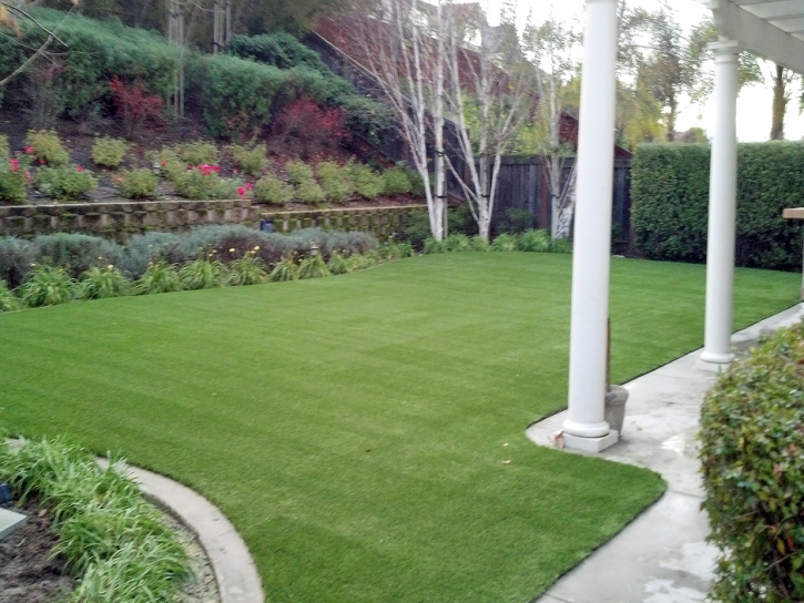 Best Artificial Grass Piru, California Grass For Dogs, Backyard