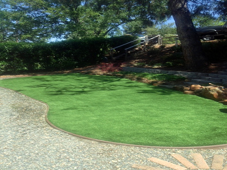 Best Artificial Grass Running Springs, California Home And Garden, Backyard Design