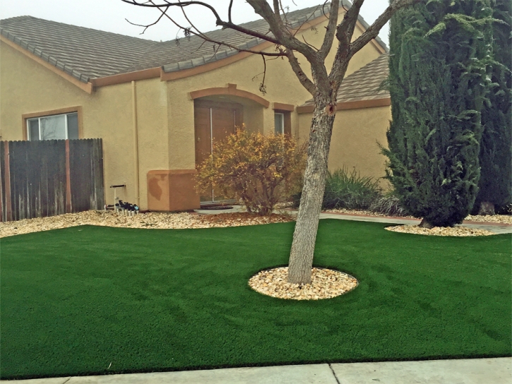 Best Artificial Grass View Park-Windsor Hills, California Garden Ideas, Front Yard Ideas