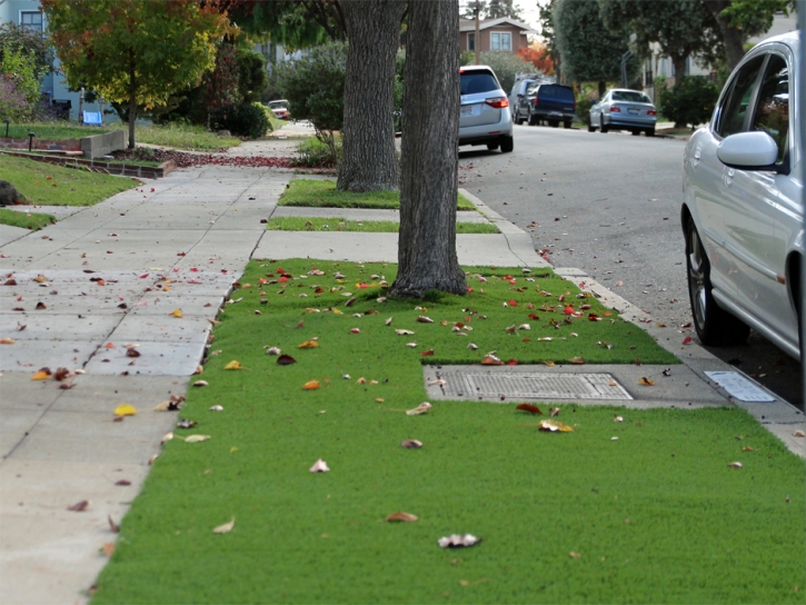 Best Artificial Grass Yorba Linda, California Landscape Rock, Front Yard Landscaping Ideas