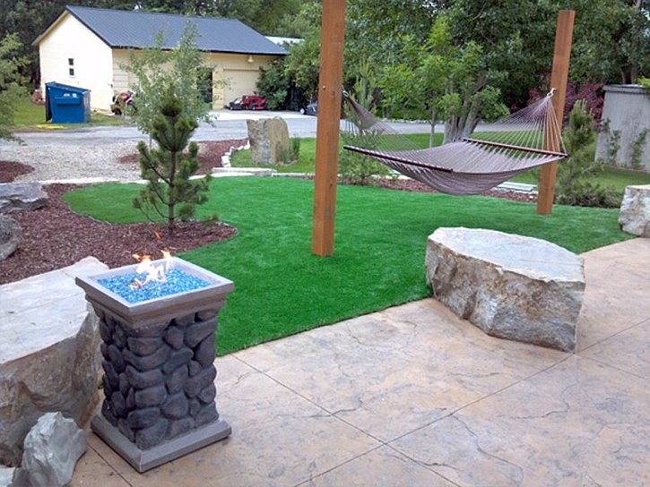 Fake Grass Carpet Anza, California Landscape Ideas, Front Yard Ideas