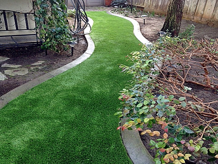 Fake Grass Carpet Bradbury, California Home And Garden, Backyard Garden Ideas