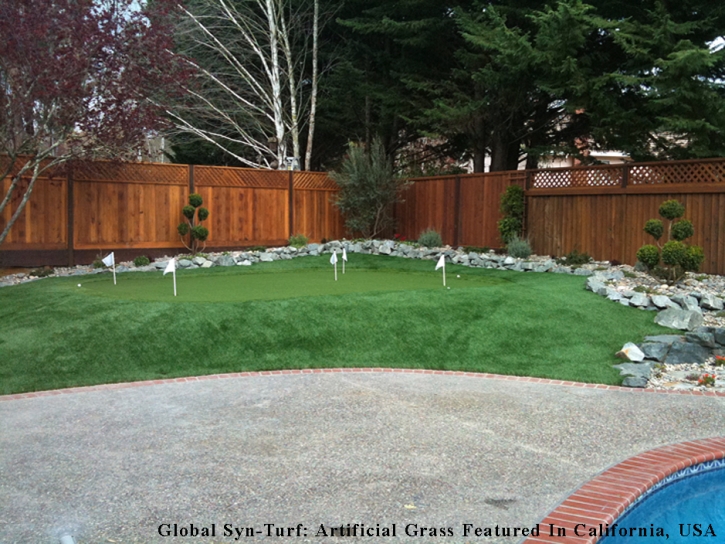 Fake Grass Carpet East La Mirada, California Putting Greens, Backyard Landscape Ideas