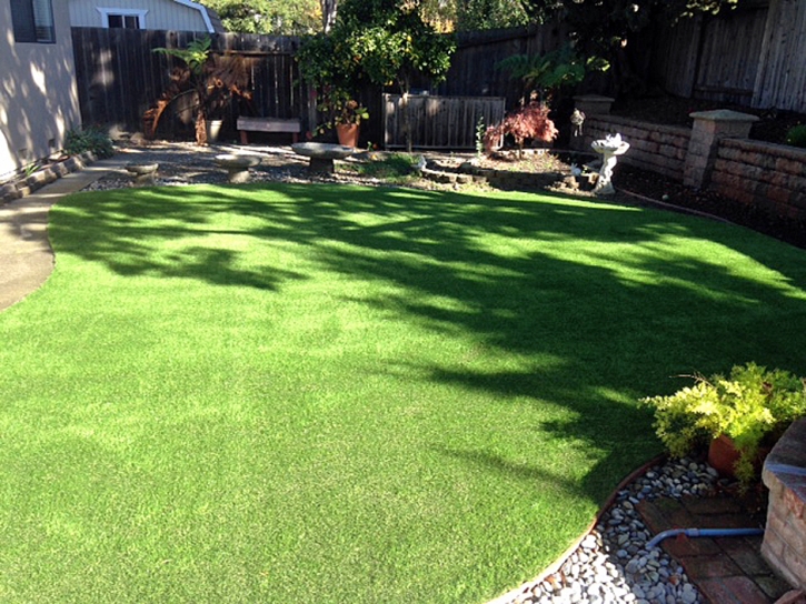 Fake Grass Carpet Gardena, California Cat Grass, Backyard Landscaping Ideas