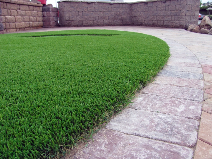 Fake Grass Carpet Glendale, California Garden Ideas, Front Yard Design