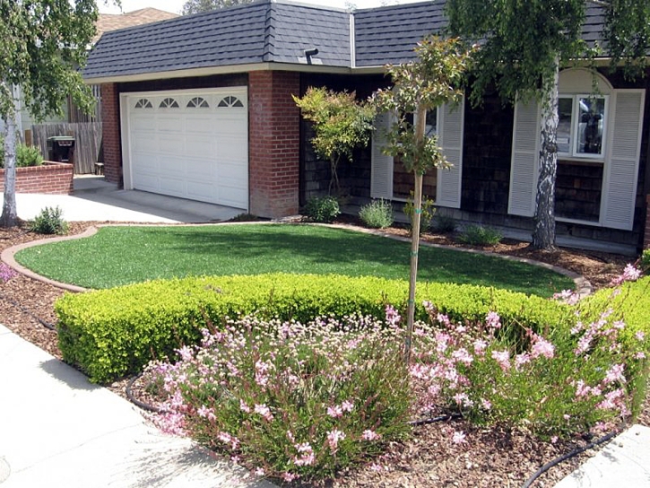 Fake Grass Carpet Temple City, California Lawn And Garden, Front Yard Ideas