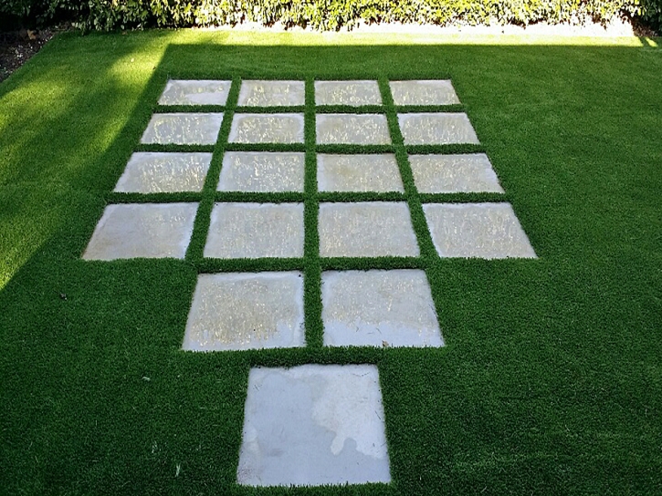 Fake Grass Claremont, California Landscape Ideas, Backyard Design