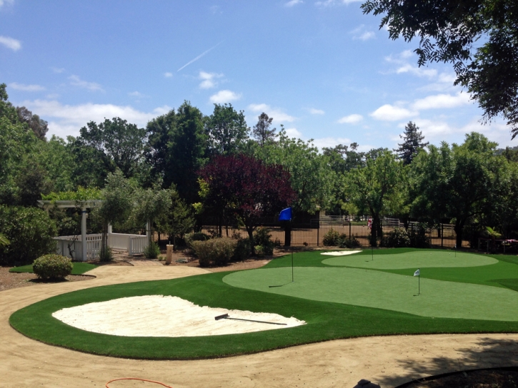 Fake Grass Lomita, California Putting Green Carpet, Front Yard Landscape Ideas