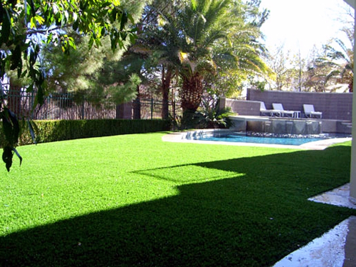 Fake Grass Oak Glen, California Gardeners, Pool Designs