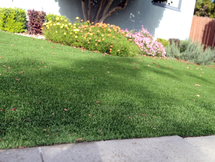 Fake Grass Saticoy, California Landscaping Business, Front Yard Landscaping
