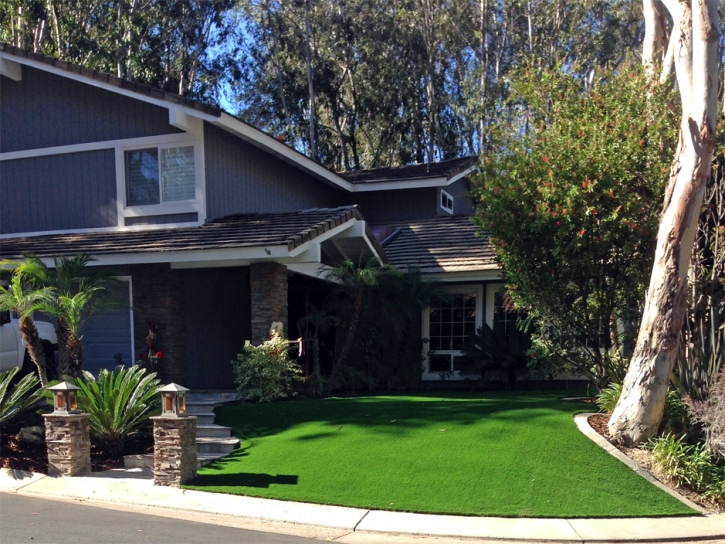Fake Grass Signal Hill, California Backyard Deck Ideas, Front Yard