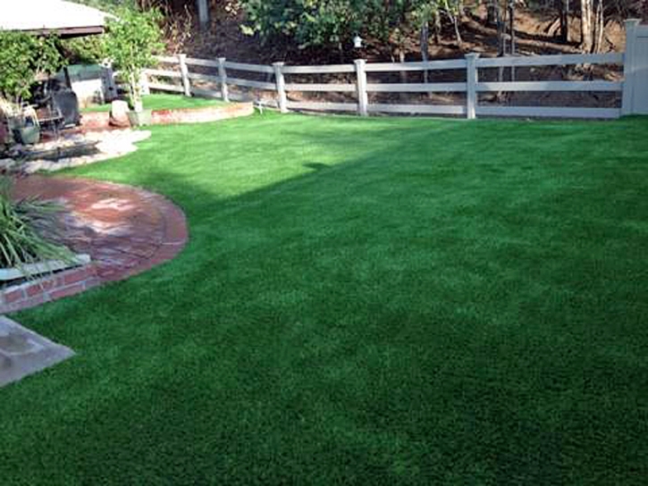 Fake Lawn Anza, California Dog Running, Small Backyard Ideas