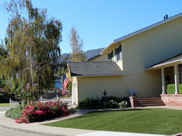 Fake Lawn Laguna Hills, California Landscaping, Landscaping Ideas For Front Yard