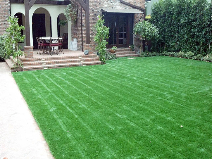 Fake Lawn Las Flores, California Landscaping Business, Small Front Yard Landscaping