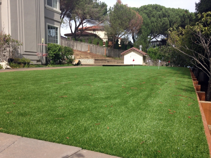 Fake Lawn San Marino, California Backyard Deck Ideas, Backyard Ideas