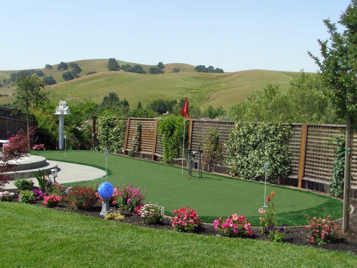 Fake Turf Villa Park, California Landscape Ideas, Backyard Ideas