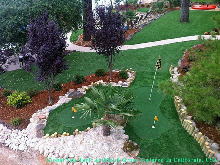 Faux Grass Anaheim, California Backyard Putting Green, Backyard Garden Ideas